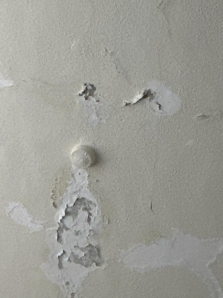 壁癌處理案件圖片