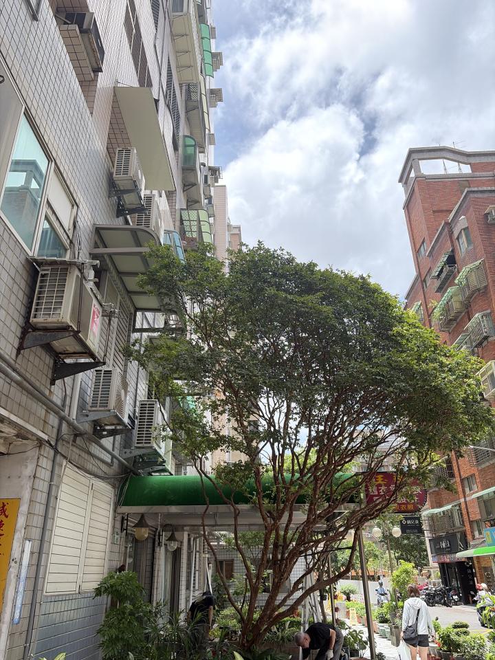 園藝維護案件圖片
