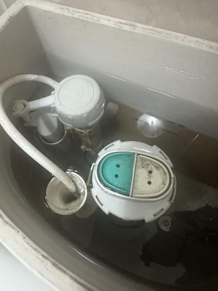 馬桶裝修案件圖片