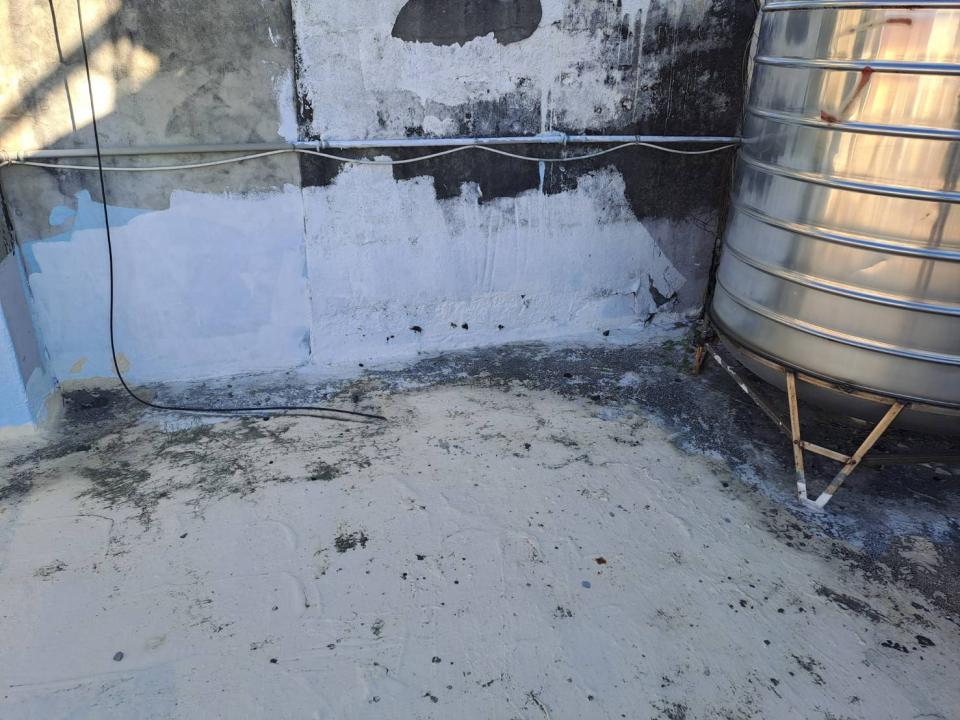 屋頂防水案件圖片