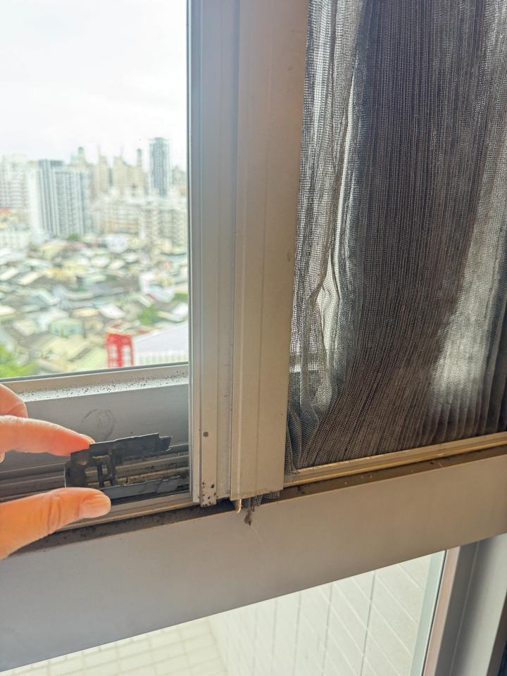 紗窗裝修案件圖片