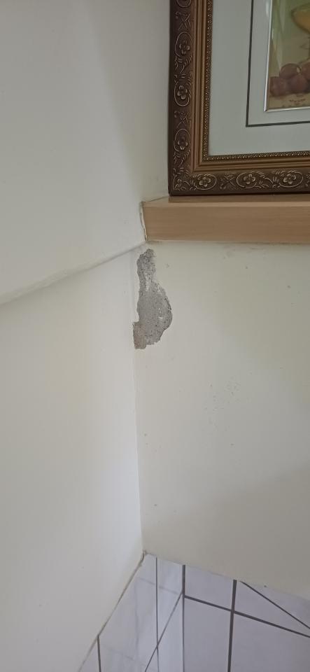 壁癌處理案件圖片