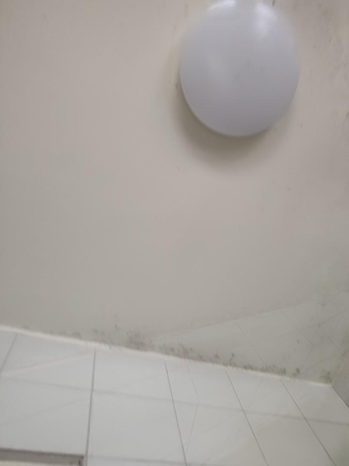 壁癌處理案件圖片