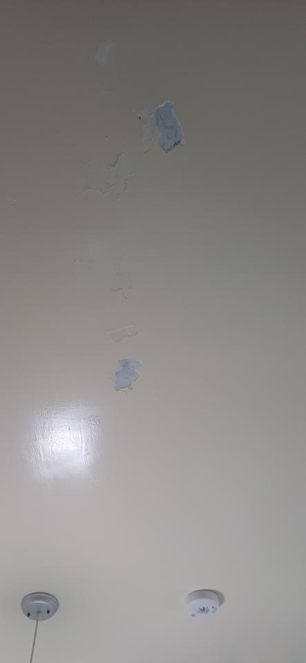 壁癌處理案件圖片