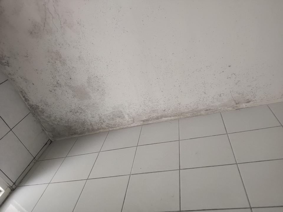 壁癌處理案件圖片