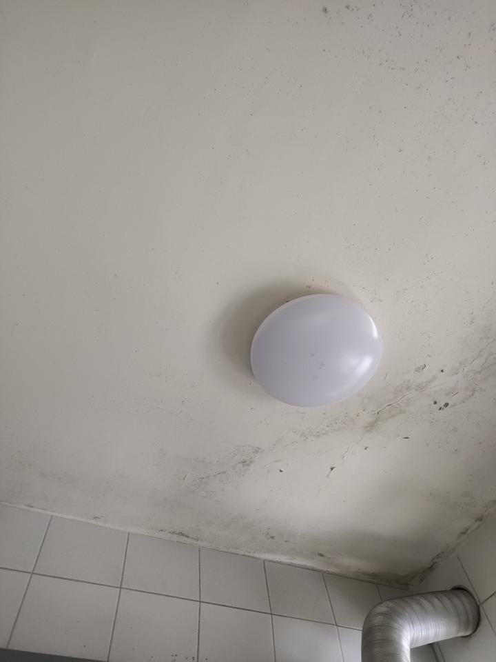 壁癌處理案件圖片