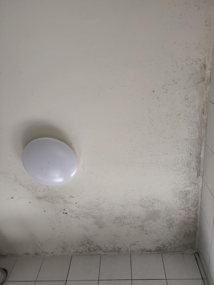 壁癌處理案件圖片