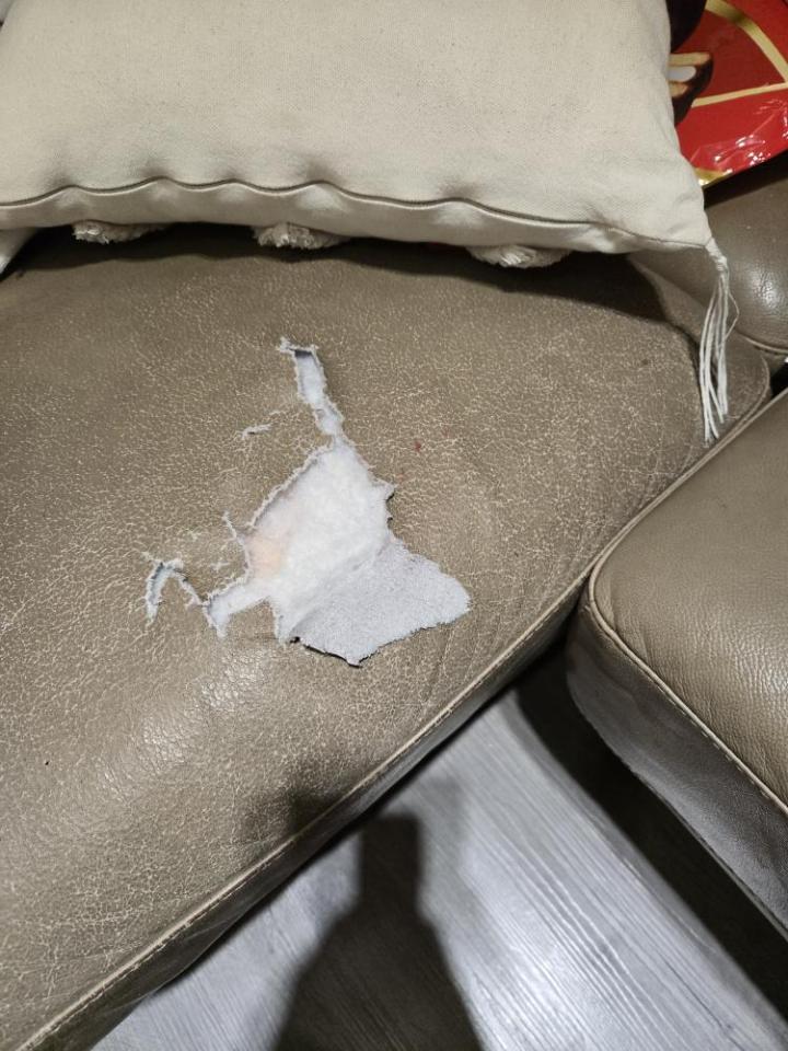 沙發修理案件圖片