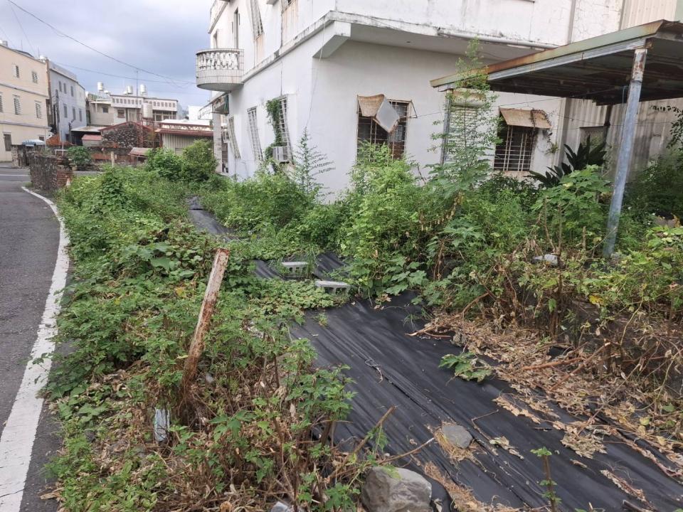 園藝維護案件圖片