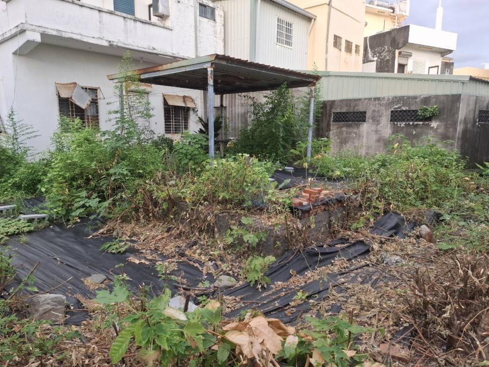 園藝維護案件圖片