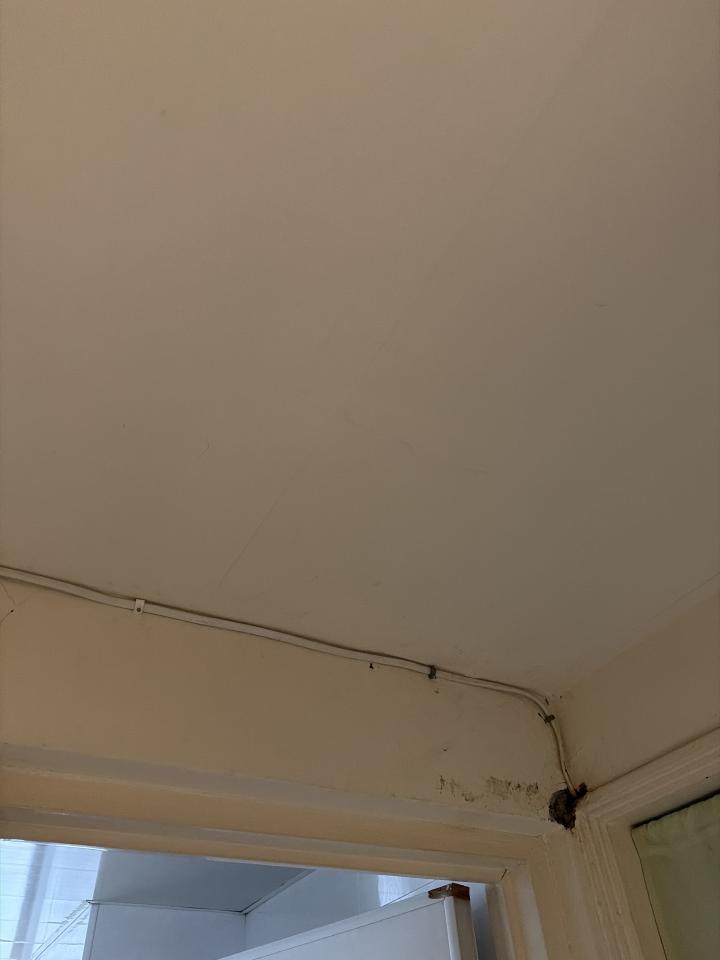 油漆工程案件圖片