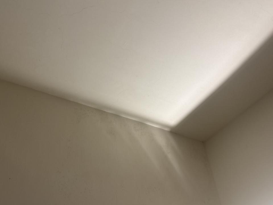 除霉案件圖片