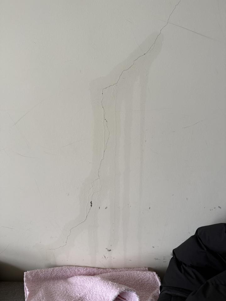 抓漏案件圖片