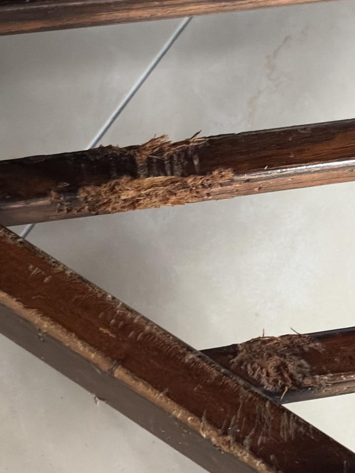 家具維修案件圖片