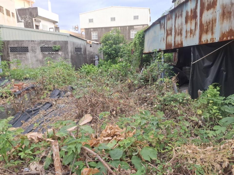 園藝維護案件圖片