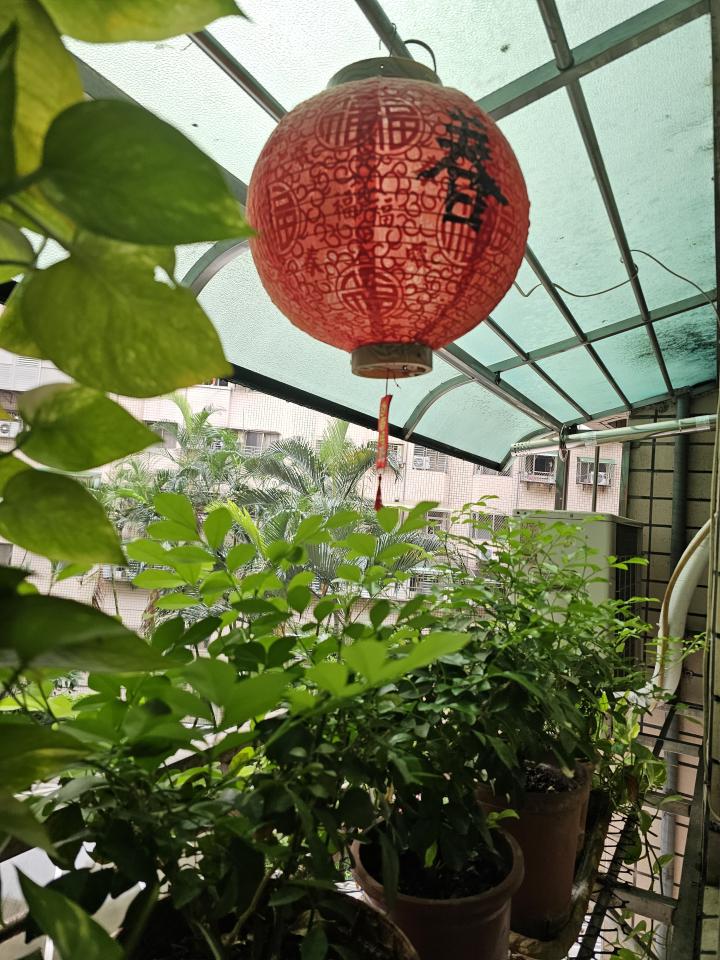 遮雨棚安裝案件圖片