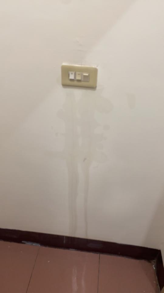 抓漏案件圖片