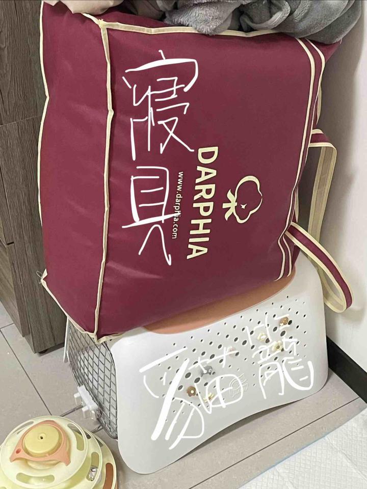 載貨運輸服務案件圖片