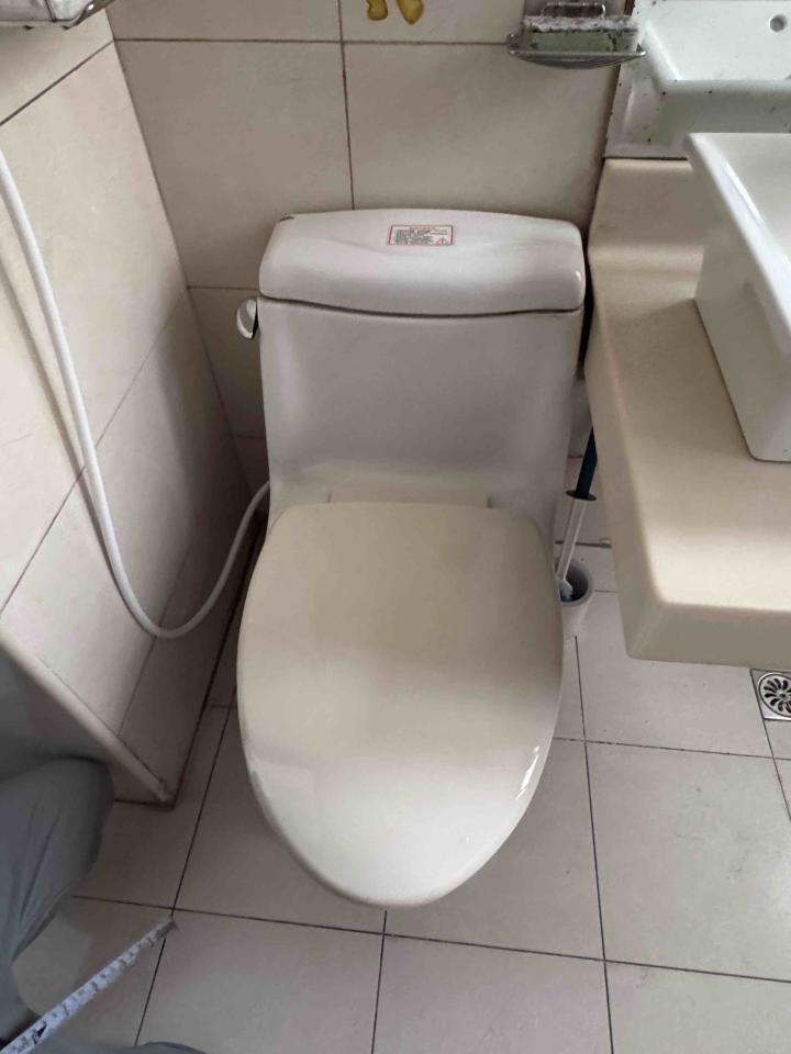 馬桶裝修案件圖片