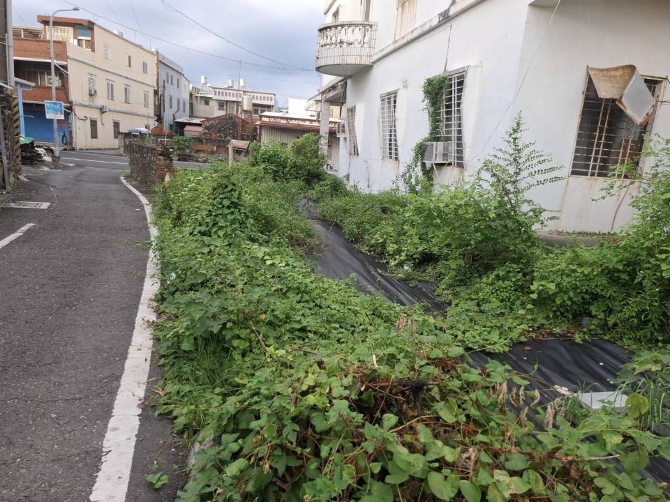 園藝維護案件圖片