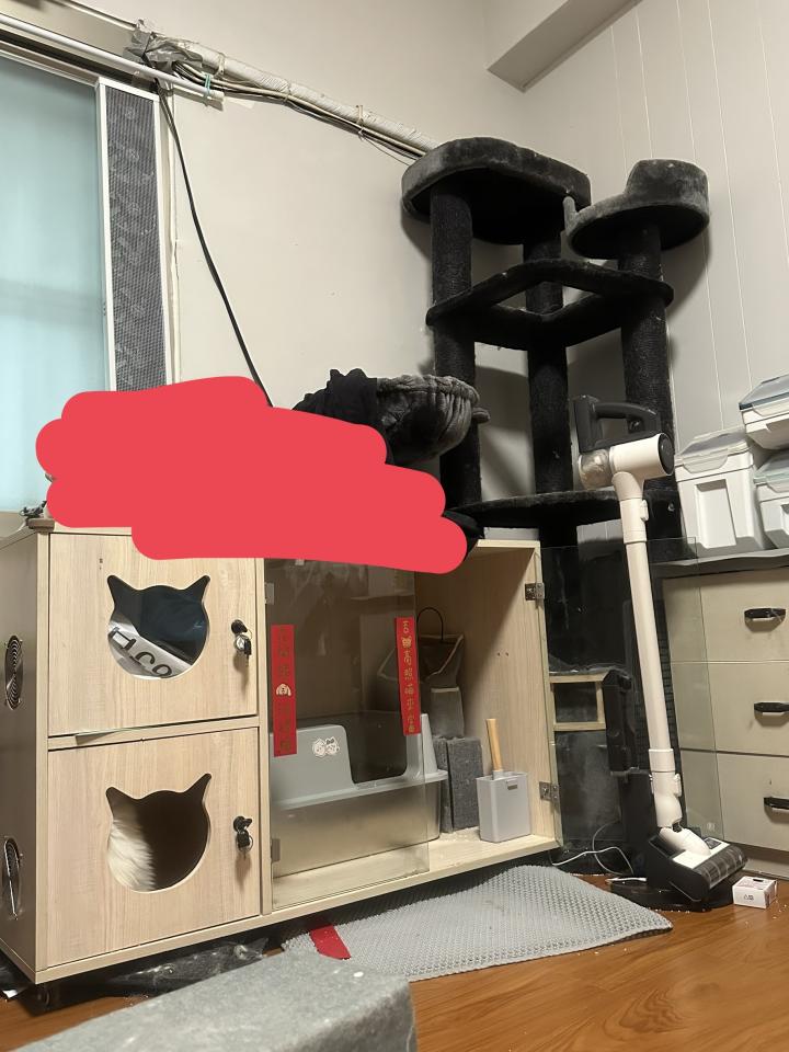 搬家案件圖片