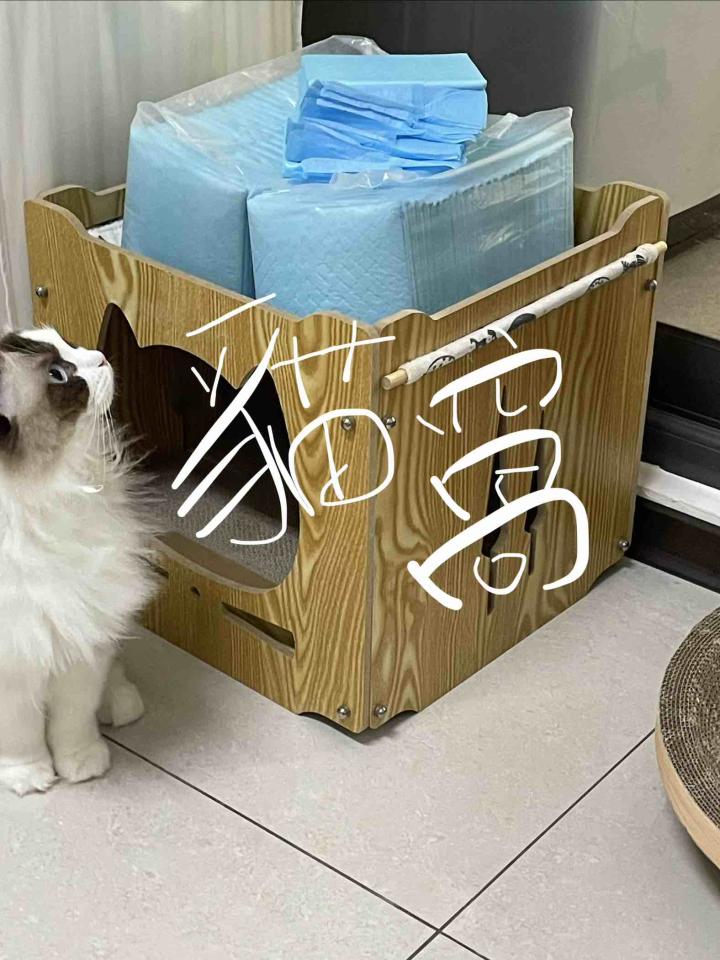 載貨運輸服務案件圖片