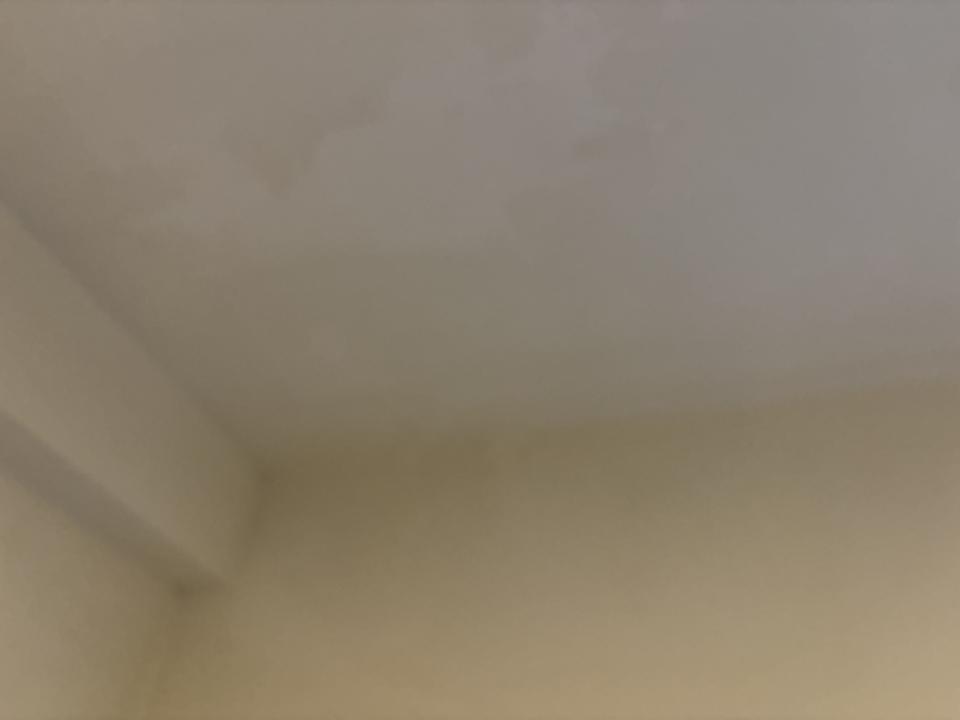 除霉案件圖片
