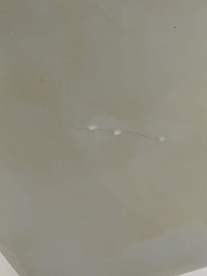 抓漏案件圖片