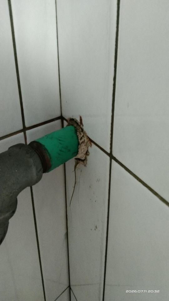 瓦斯管線更換案件圖片