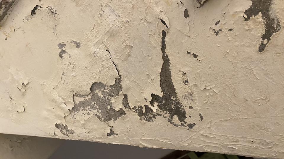 漏水鑑定案件圖片