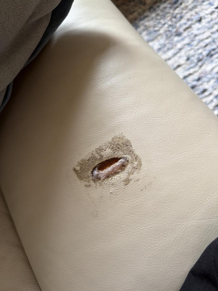 沙發修理案件圖片