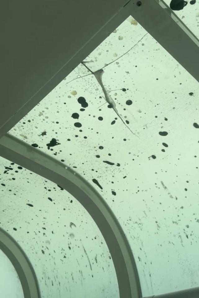 遮雨棚安裝案件圖片