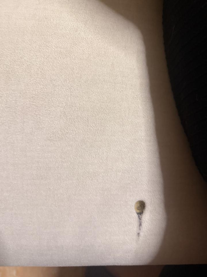 沙發修理案件圖片