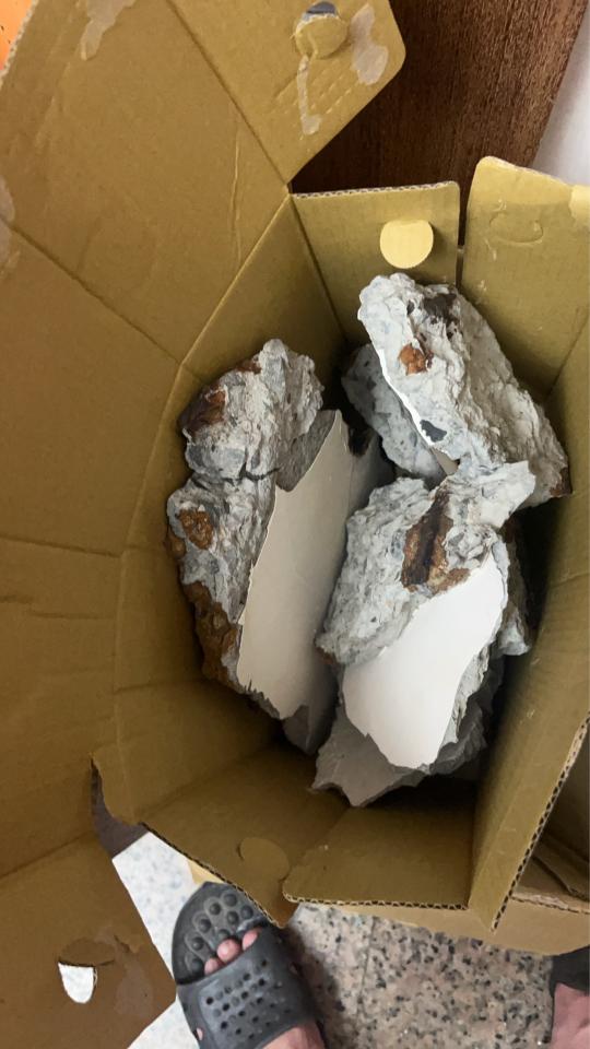 鋼筋外露處理案件圖片