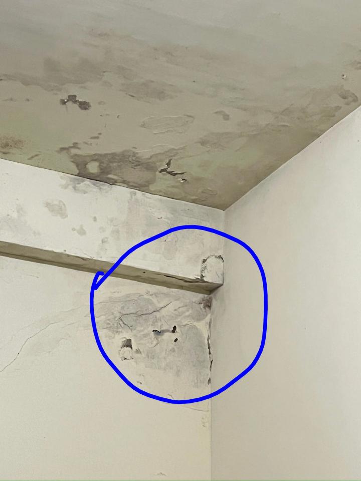 油漆工程案件圖片