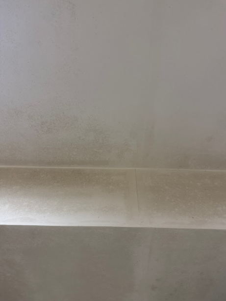 除霉案件圖片