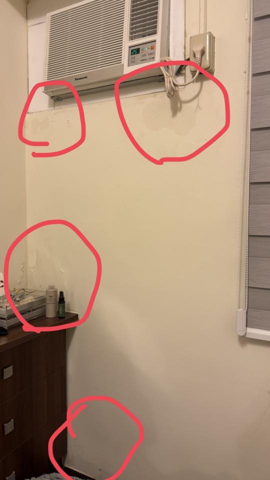 壁癌處理案件圖片