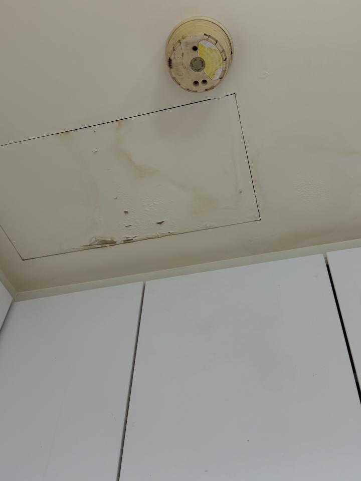 抓漏案件圖片