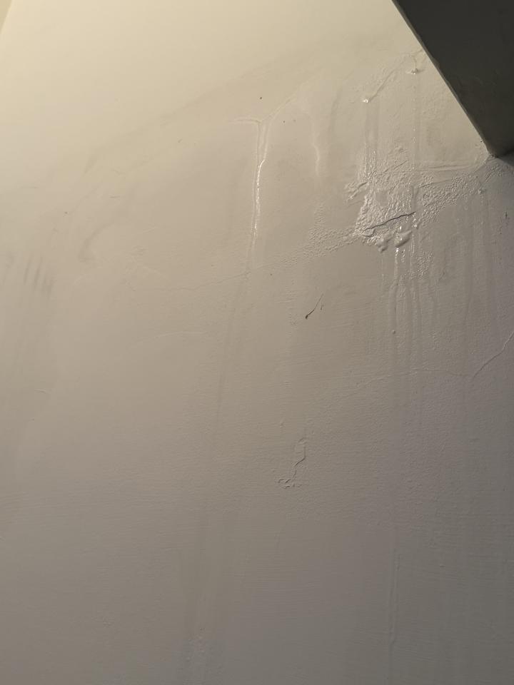 抓漏案件圖片