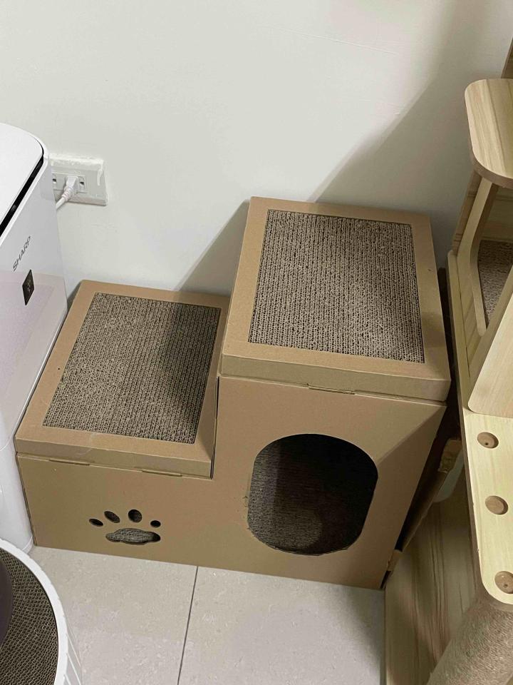 代收垃圾案件圖片