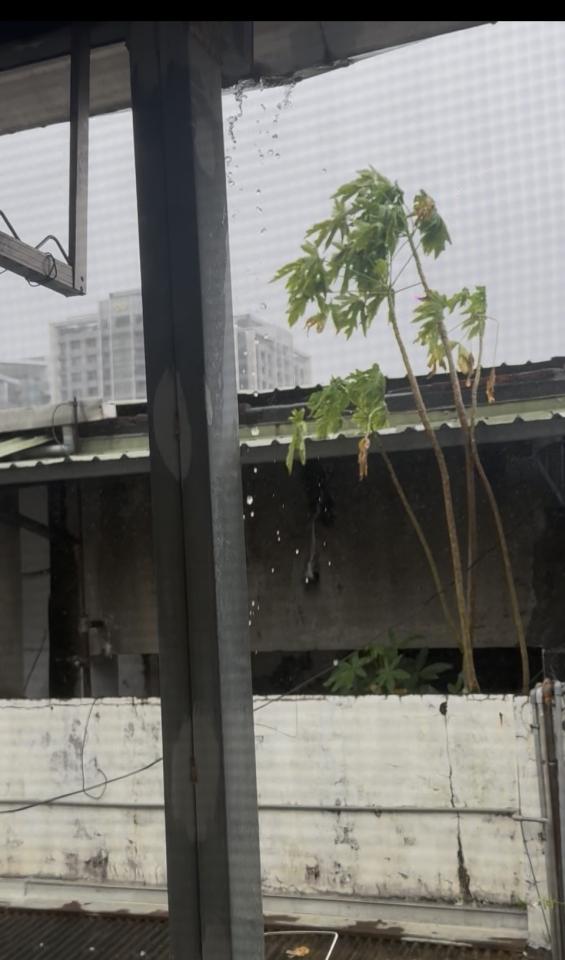 屋簷排水槽施工案件圖片
