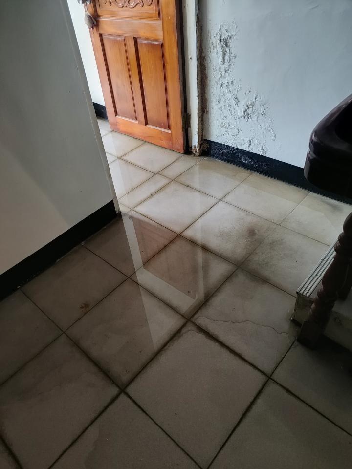 抓漏案件圖片