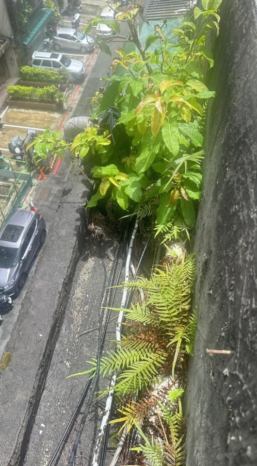 屋頂防水案件圖片