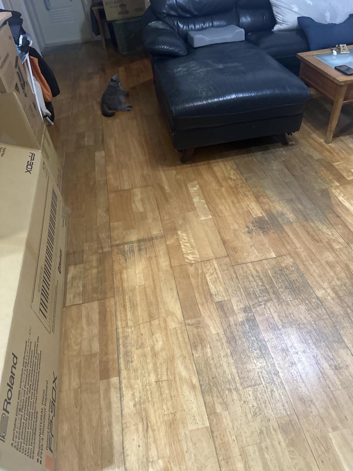 地板施工案件圖片