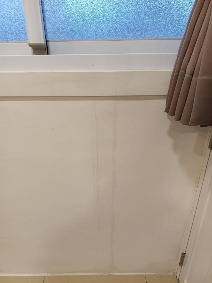 抓漏案件圖片