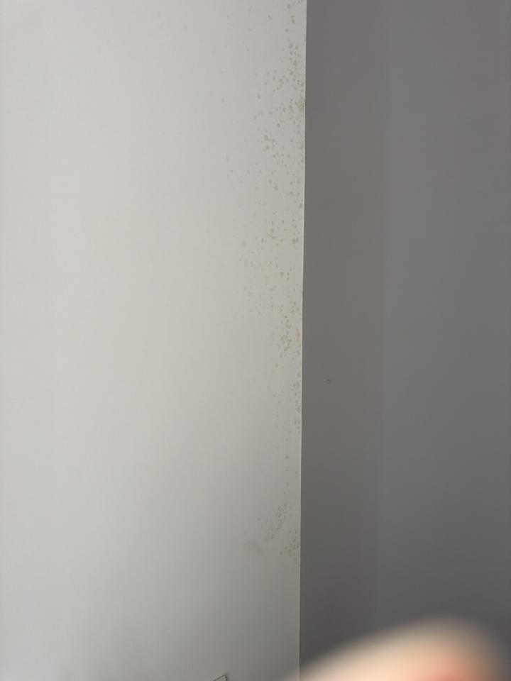 除霉案件圖片