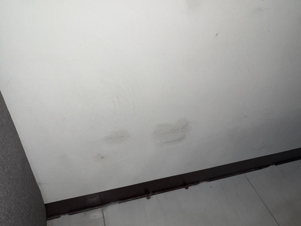 油漆工程案件圖片