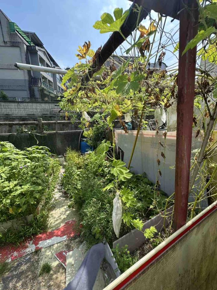 統包工程案件圖片