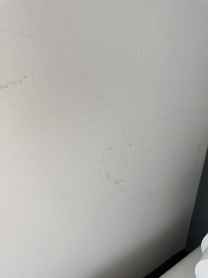除霉案件圖片