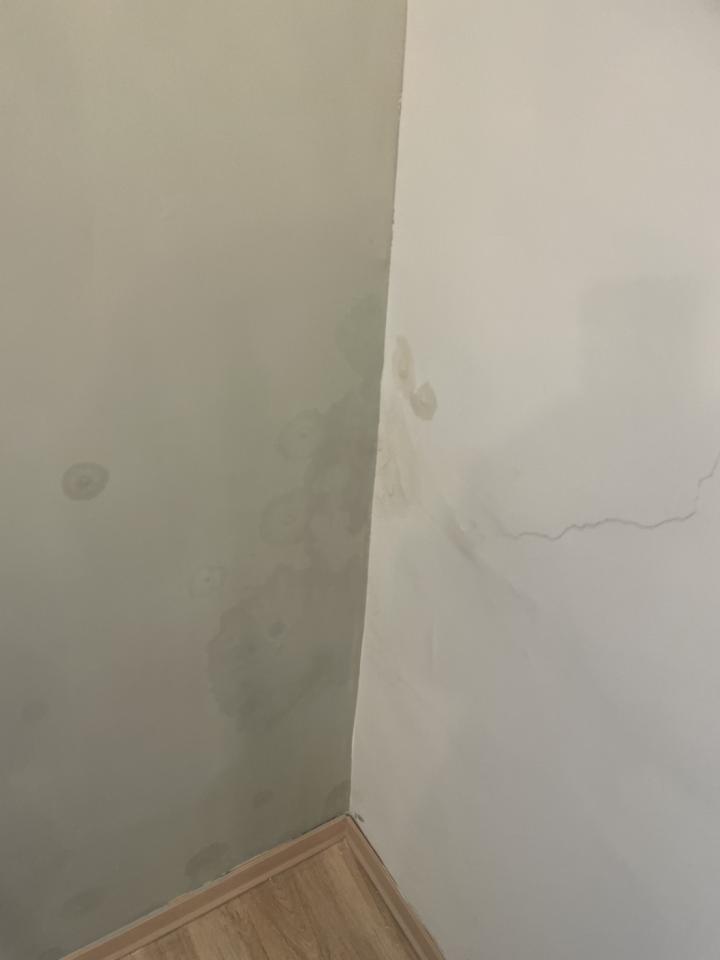 漏水處理案件圖片